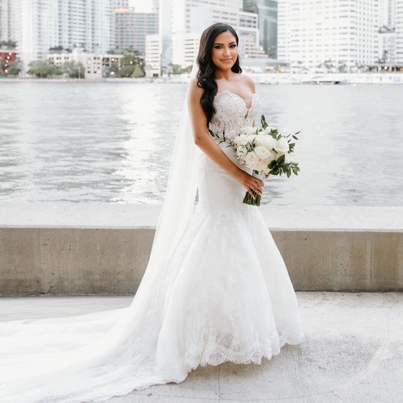 Pronovias Imelda Wedding Gown - Picture 9 of 16